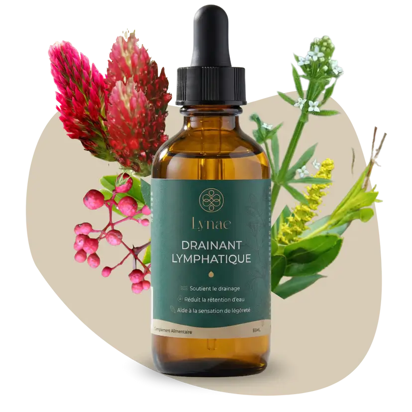 Drainant Lymphatique